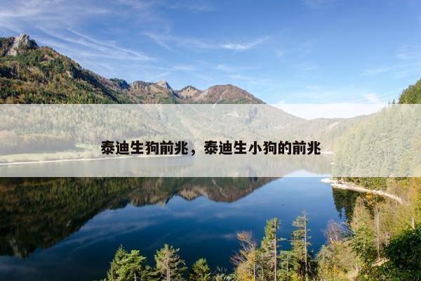泰迪生狗前兆，泰迪生小狗的前兆