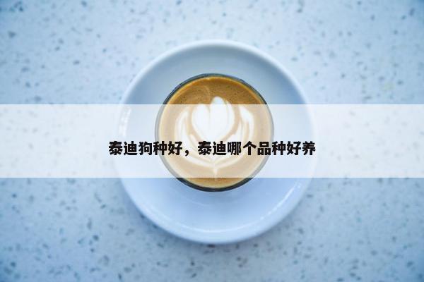 泰迪狗种好，泰迪哪个品种好养