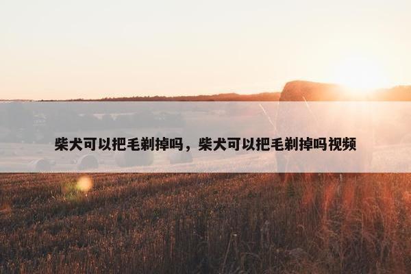柴犬可以把毛剃掉吗，柴犬可以把毛剃掉吗视频