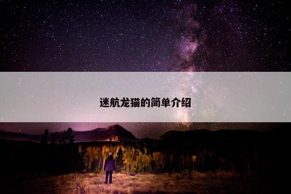 迷航龙猫的简单介绍