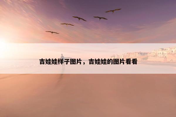 吉娃娃样子图片，吉娃娃的图片看看