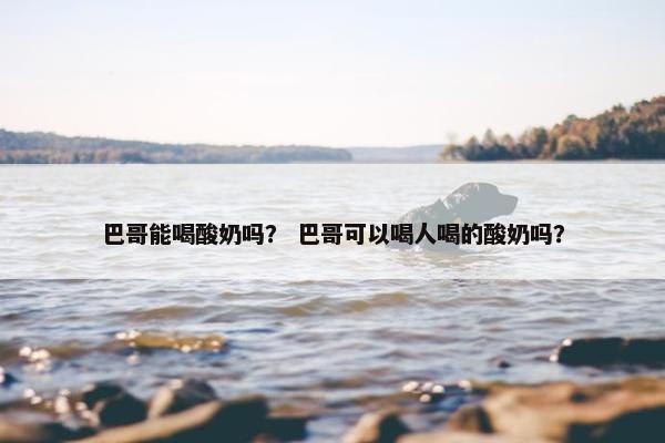 巴哥能喝酸奶吗？ 巴哥可以喝人喝的酸奶吗？