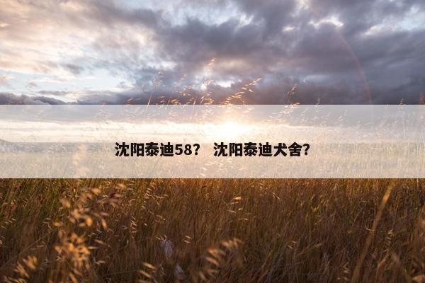 沈阳泰迪58？ 沈阳泰迪犬舍？