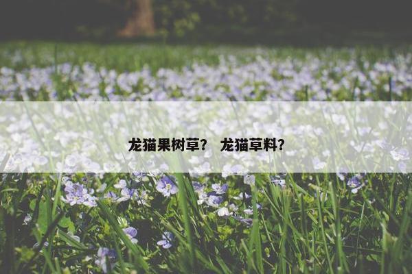 龙猫果树草？ 龙猫草料？
