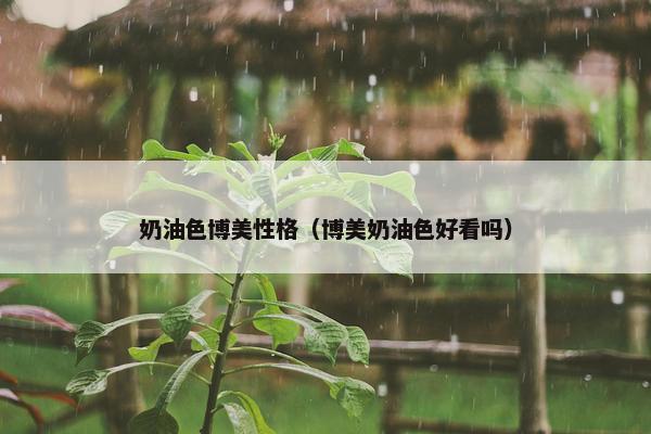 奶油色博美性格（博美奶油色好看吗）