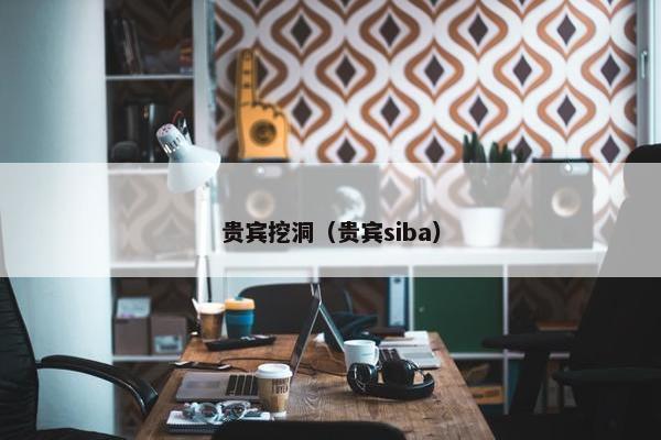 贵宾挖洞（贵宾siba）