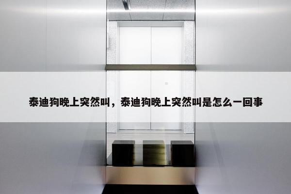 泰迪狗晚上突然叫，泰迪狗晚上突然叫是怎么一回事