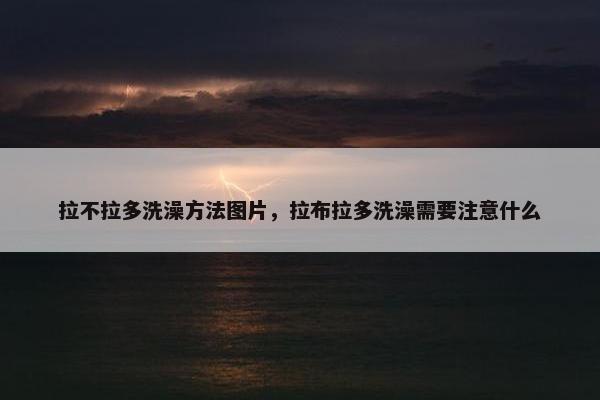 拉不拉多洗澡方法图片，拉布拉多洗澡需要注意什么