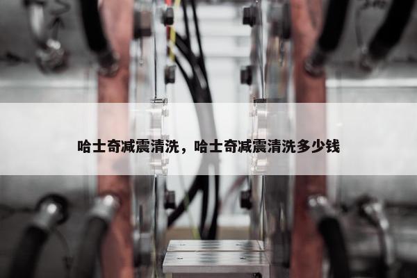 哈士奇减震清洗，哈士奇减震清洗多少钱