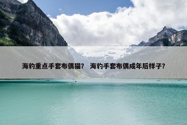 海豹重点手套布偶猫？ 海豹手套布偶成年后样子？