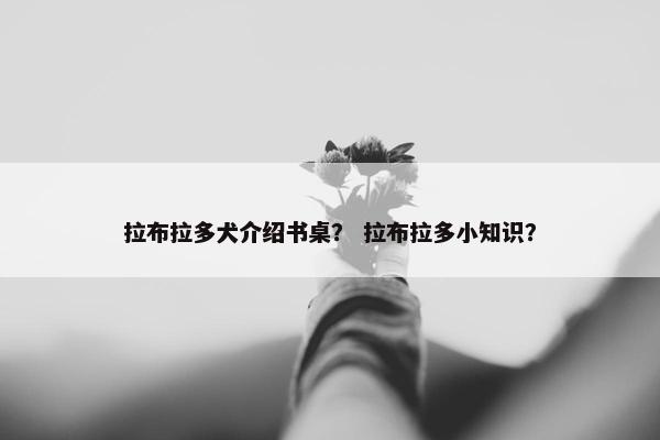 拉布拉多犬介绍书桌？ 拉布拉多小知识？