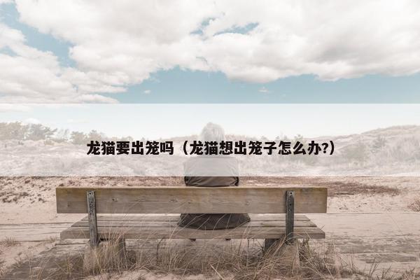 龙猫要出笼吗（龙猫想出笼子怎么办?）