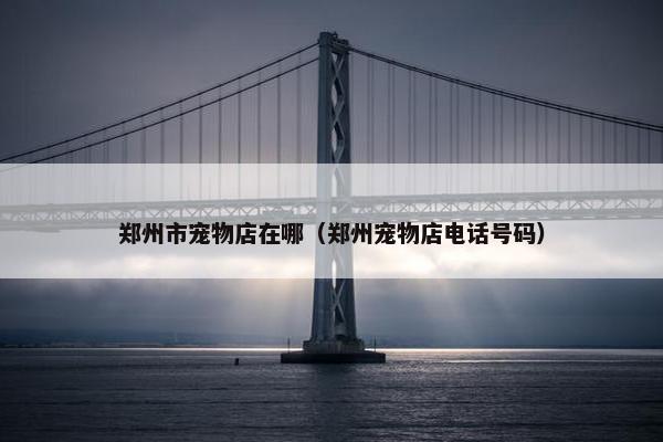郑州市宠物店在哪（郑州宠物店电话号码）