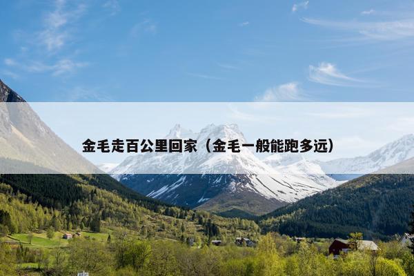 金毛走百公里回家（金毛一般能跑多远）
