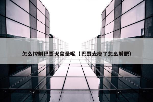 怎么控制巴哥犬食量呢（巴哥太瘦了怎么增肥）