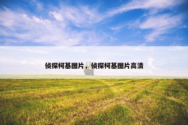 侦探柯基图片，侦探柯基图片高清