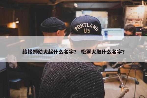 给松狮幼犬起什么名字？ 松狮犬取什么名字？