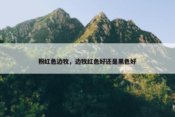 粉红色边牧，边牧红色好还是黑色好