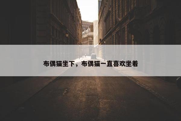 布偶猫坐下，布偶猫一直喜欢坐着