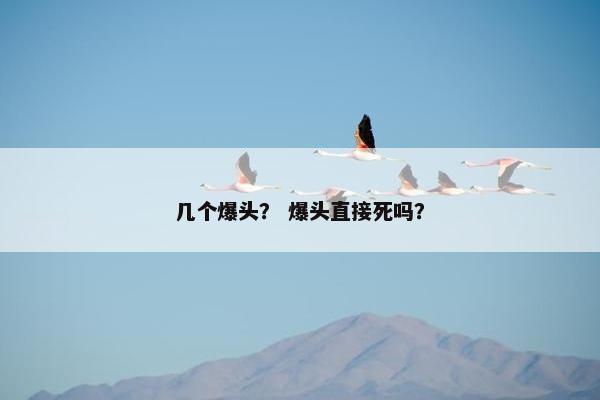 几个爆头？ 爆头直接死吗？