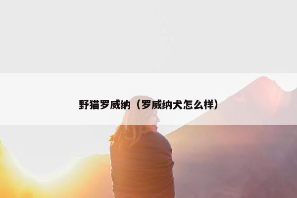 野猫罗威纳（罗威纳犬怎么样）
