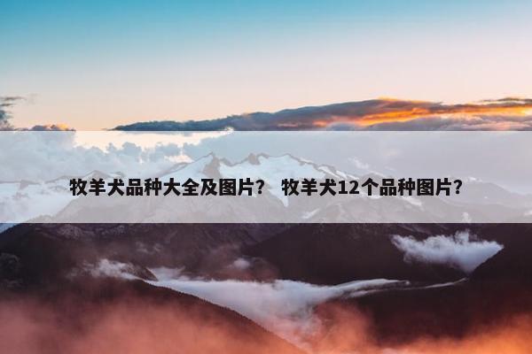 牧羊犬品种大全及图片？ 牧羊犬12个品种图片？
