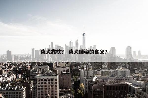 柴犬靠枕？ 柴犬睡姿的含义？