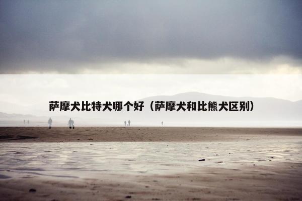 萨摩犬比特犬哪个好（萨摩犬和比熊犬区别）