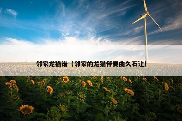 邻家龙猫谱（邻家的龙猫伴奏曲久石让）