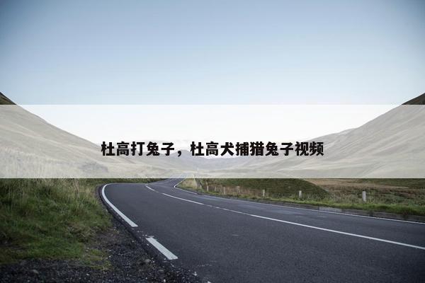 杜高打兔子，杜高犬捕猎兔子视频