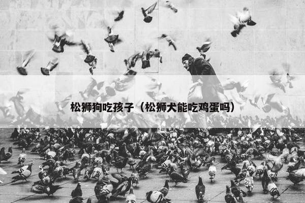 松狮狗吃孩子（松狮犬能吃鸡蛋吗）