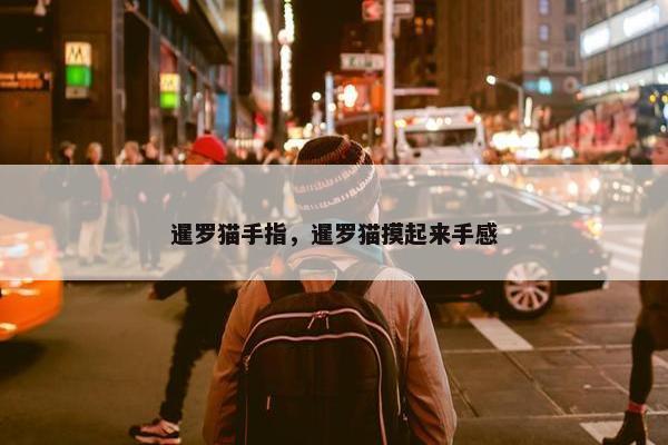 暹罗猫手指，暹罗猫摸起来手感