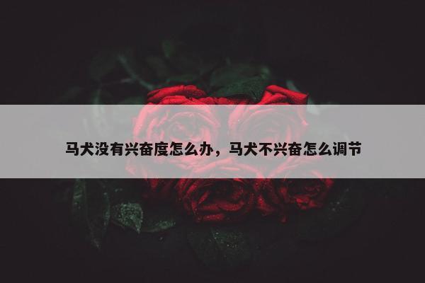 马犬没有兴奋度怎么办，马犬不兴奋怎么调节