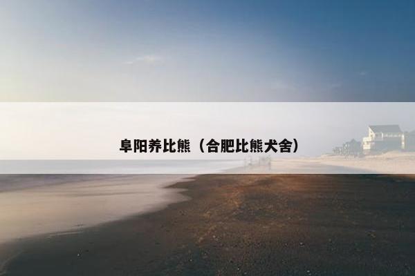 阜阳养比熊（合肥比熊犬舍）