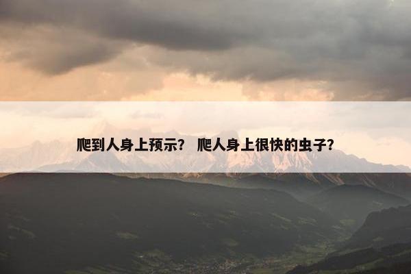 爬到人身上预示？ 爬人身上很快的虫子？