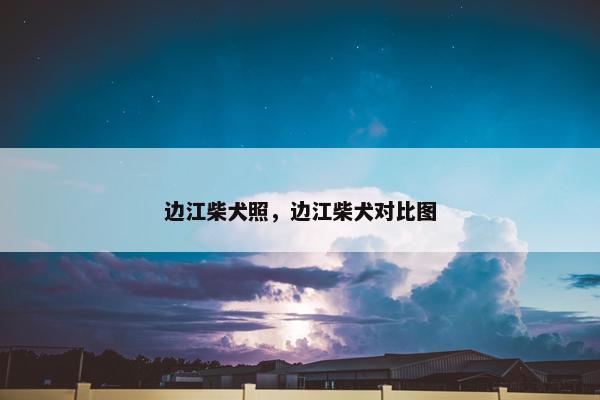 边江柴犬照，边江柴犬对比图