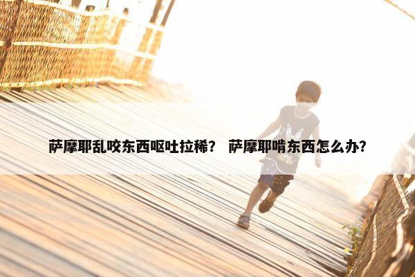 萨摩耶乱咬东西呕吐拉稀？ 萨摩耶啃东西怎么办？