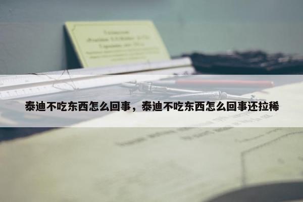 泰迪不吃东西怎么回事，泰迪不吃东西怎么回事还拉稀