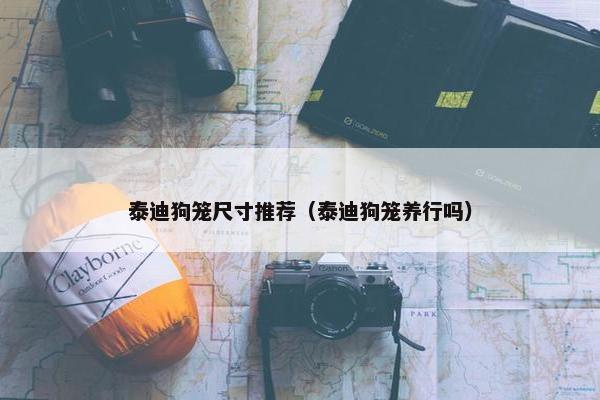 泰迪狗笼尺寸推荐（泰迪狗笼养行吗）