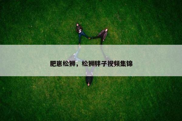肥崽松狮，松狮胖子视频集锦