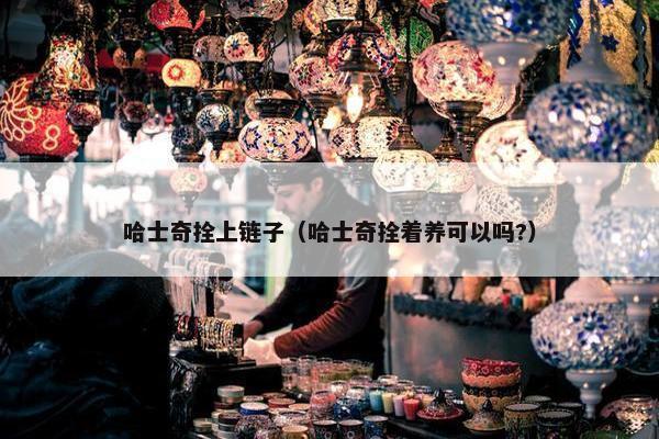 哈士奇拴上链子（哈士奇拴着养可以吗?）