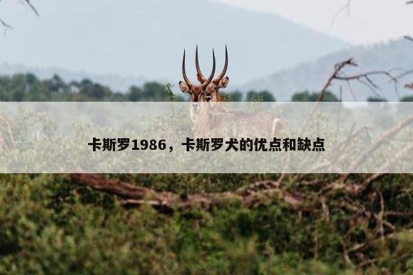 卡斯罗1986，卡斯罗犬的优点和缺点