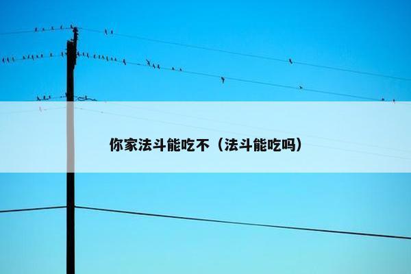 你家法斗能吃不（法斗能吃吗）