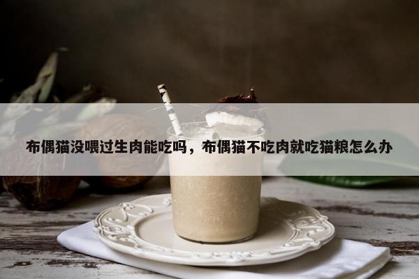 布偶猫没喂过生肉能吃吗，布偶猫不吃肉就吃猫粮怎么办