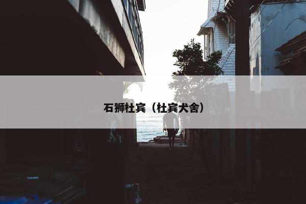 石狮杜宾（杜宾犬舍）