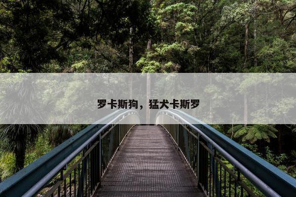 罗卡斯狗，猛犬卡斯罗