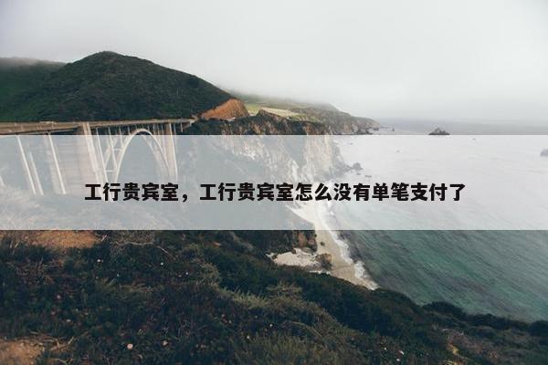 工行贵宾室，工行贵宾室怎么没有单笔支付了