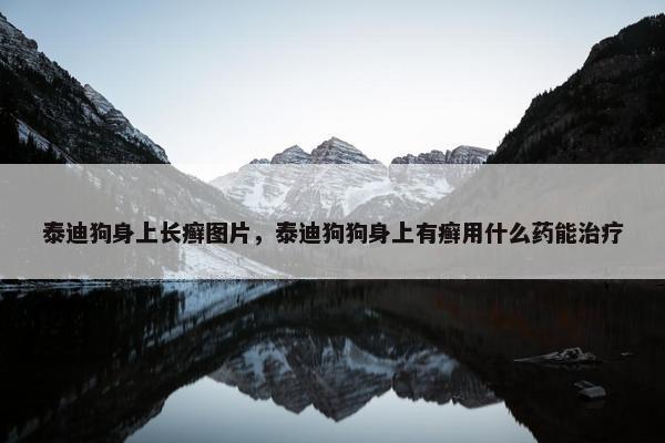 泰迪狗身上长癣图片，泰迪狗狗身上有癣用什么药能治疗
