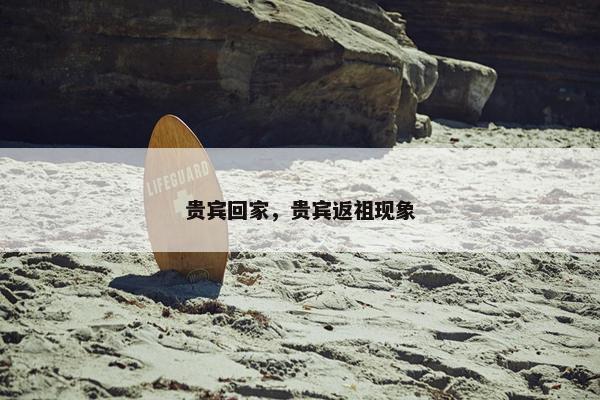 贵宾回家，贵宾返祖现象