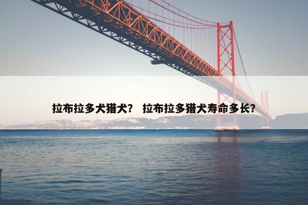 拉布拉多犬猎犬？ 拉布拉多猎犬寿命多长？